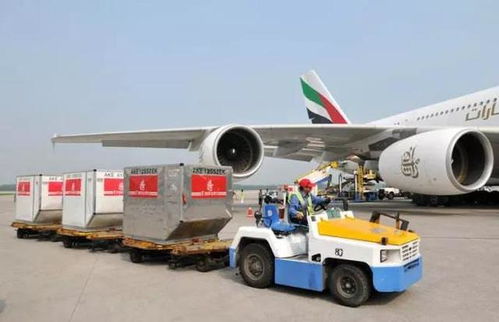 為什么飛機起飛還有40分鐘,就不讓登機了 看完漲知識