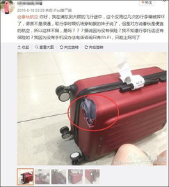 飛機(jī)托運(yùn)行李近500噸 看到個(gè)炫富比王思聰還6的了